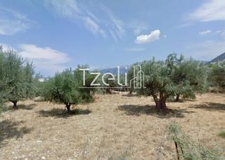 Οικόπεδο 470 τ.μ. για πώληση, Αχαΐα, Μεσσατίδα-thumb-21