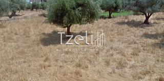 Οικόπεδο 470 τ.μ. για πώληση, Αχαΐα, Μεσσατίδα-thumb-22