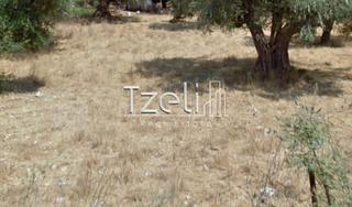 Οικόπεδο 470 τ.μ. για πώληση, Αχαΐα, Μεσσατίδα-thumb-23