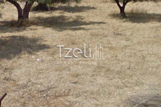 Οικόπεδο 470 τ.μ. για πώληση, Αχαΐα, Μεσσατίδα-thumb-24