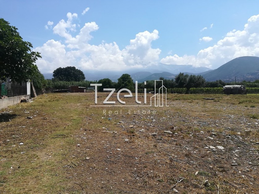 Land plot 3.500sqm for rent-Paralia » Center