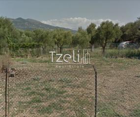 Οικόπεδο 3.500 τ.μ. για πώληση, Αχαΐα, Παραλία-thumb-7