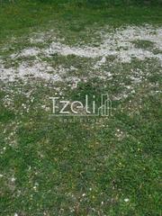 Οικόπεδο 3.500 τ.μ. για πώληση, Αχαΐα, Παραλία-thumb-25