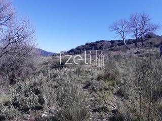 Οικόπεδο 1.300 τ.μ. για πώληση, Αχαΐα, Ρίο-thumb-3