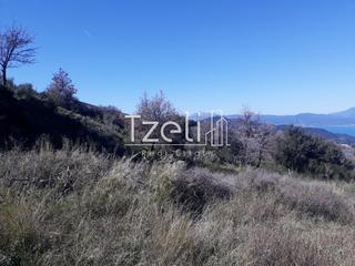 Οικόπεδο 1.300 τ.μ. για πώληση, Αχαΐα, Ρίο-thumb-9