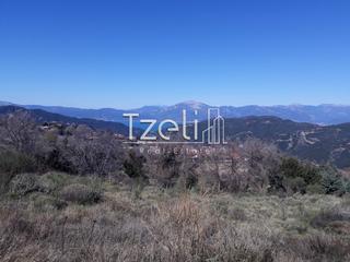 Οικόπεδο 1.300 τ.μ. για πώληση, Αχαΐα, Ρίο-thumb-10