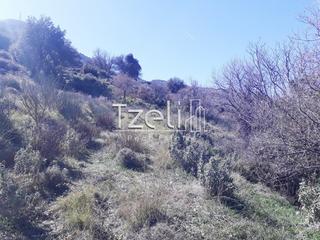 Οικόπεδο 1.300 τ.μ. για πώληση, Αχαΐα, Ρίο-thumb-12