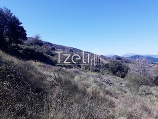 Οικόπεδο 1.300 τ.μ. για πώληση, Αχαΐα, Ρίο-thumb-13
