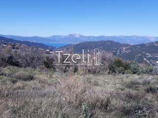 Οικόπεδο 1.300 τ.μ. για πώληση, Αχαΐα, Ρίο-thumb-14