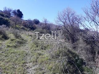 Οικόπεδο 1.300 τ.μ. για πώληση, Αχαΐα, Ρίο-thumb-17