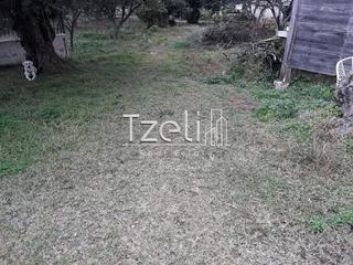 Οικόπεδο 500 τ.μ. για πώληση, Αχαΐα, Βραχναίικα-thumb-2
