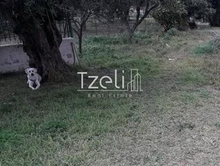 Οικόπεδο 500 τ.μ. για πώληση, Αχαΐα, Βραχναίικα-thumb-8