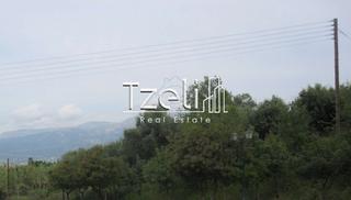 Οικόπεδο 11.000 τ.μ. για πώληση