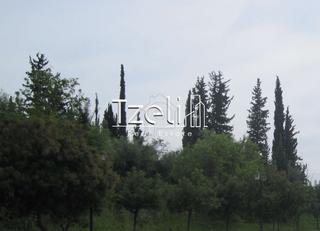 Οικόπεδο 11.000 τ.μ. για πώληση, Αχαΐα, Μεσσατίδα-thumb-2