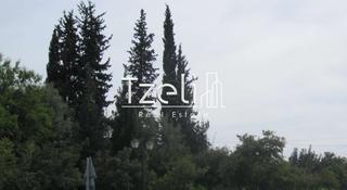 Οικόπεδο 11.000 τ.μ. για πώληση, Αχαΐα, Μεσσατίδα-thumb-19