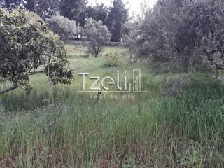 Οικόπεδο 350 τ.μ. για πώληση, Αχαΐα, Πάτρα-thumb-4