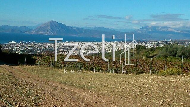Land plot 4.600sqm for sale-Messatida » Kallitheokampos