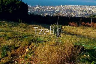 Οικόπεδο 4.600 τ.μ. για πώληση, Αχαΐα, Μεσσατίδα-thumb-9