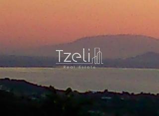 Οικόπεδο 4.600 τ.μ. για πώληση, Αχαΐα, Μεσσατίδα-thumb-13
