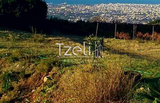 Οικόπεδο 4.600 τ.μ. για πώληση, Αχαΐα, Μεσσατίδα-thumb-21