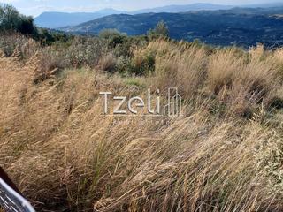 Οικόπεδο 4.700 τ.μ. για πώληση, Αχαΐα, Μεσσατίδα-thumb-5