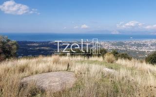 Οικόπεδο 4.700 τ.μ. για πώληση, Αχαΐα, Μεσσατίδα-thumb-10