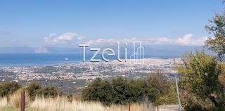 Οικόπεδο 4.700 τ.μ. για πώληση, Αχαΐα, Μεσσατίδα-thumb-13