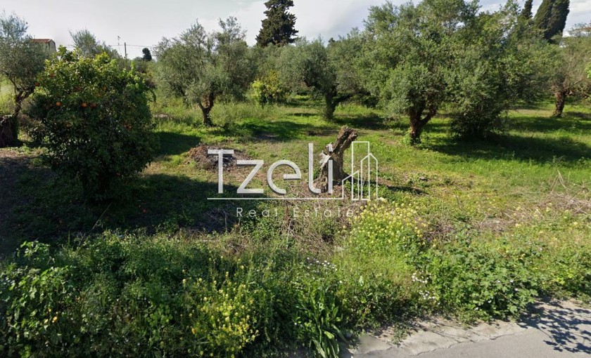 Οικόπεδο 488τ.μ. για πώληση-Βραχναίικα » Μονοδένδρι