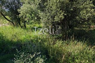 Οικόπεδο 488 τ.μ. για πώληση, Αχαΐα, Βραχναίικα-thumb-2