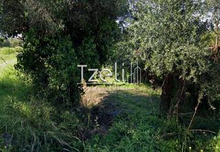 Οικόπεδο 488 τ.μ. για πώληση, Αχαΐα, Βραχναίικα-thumb-3