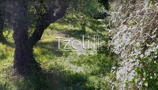 Οικόπεδο 488 τ.μ. για πώληση, Αχαΐα, Βραχναίικα-thumb-22