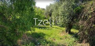 Οικόπεδο 488 τ.μ. για πώληση, Αχαΐα, Βραχναίικα-thumb-23