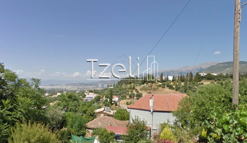 Οικόπεδο 1.262τ.μ. για πώληση-Μεσσατίδα » Καλλιθεόκαμπος