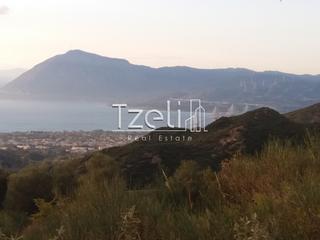 Οικόπεδο 4.900 τ.μ. για πώληση