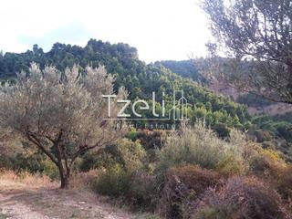 Οικόπεδο 4.900 τ.μ. για πώληση, Αχαΐα, Πάτρα-thumb-1