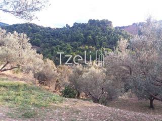 Οικόπεδο 4.900 τ.μ. για πώληση, Αχαΐα, Πάτρα-thumb-2