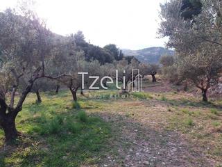 Οικόπεδο 4.900 τ.μ. για πώληση, Αχαΐα, Πάτρα-thumb-5