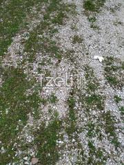 Οικόπεδο 4.900 τ.μ. για πώληση, Αχαΐα, Πάτρα-thumb-25