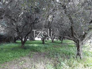 Οικόπεδο 648 τ.μ. για πώληση, Αχαΐα, Πάτρα-thumb-21
