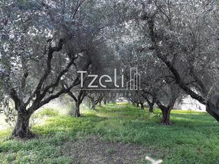 Οικόπεδο 519 τ.μ. για πώληση