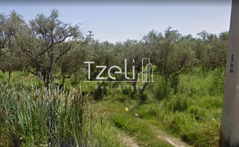 Land plot 3.900 sqm for sale