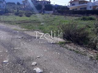 Οικόπεδο 742 τ.μ. για πώληση, Αχαΐα, Μεσσατίδα-thumb-11