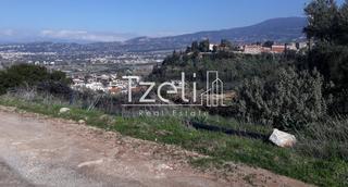 Οικόπεδο 742 τ.μ. για πώληση, Αχαΐα, Μεσσατίδα-thumb-13