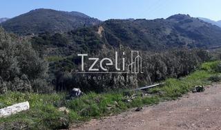 Οικόπεδο 742 τ.μ. για πώληση, Αχαΐα, Μεσσατίδα-thumb-16