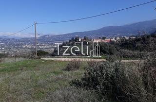 Οικόπεδο 742 τ.μ. για πώληση, Αχαΐα, Μεσσατίδα-thumb-19