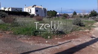 Οικόπεδο 742 τ.μ. για πώληση, Αχαΐα, Μεσσατίδα-thumb-21