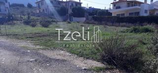 Οικόπεδο 742 τ.μ. για πώληση, Αχαΐα, Μεσσατίδα-thumb-24