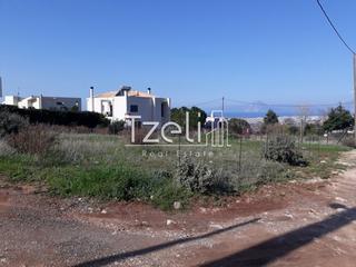 Οικόπεδο 742 τ.μ. για πώληση, Αχαΐα, Μεσσατίδα-thumb-2
