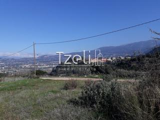 Οικόπεδο 742 τ.μ. για πώληση, Αχαΐα, Μεσσατίδα-thumb-4