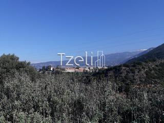 Οικόπεδο 742 τ.μ. για πώληση, Αχαΐα, Μεσσατίδα-thumb-6